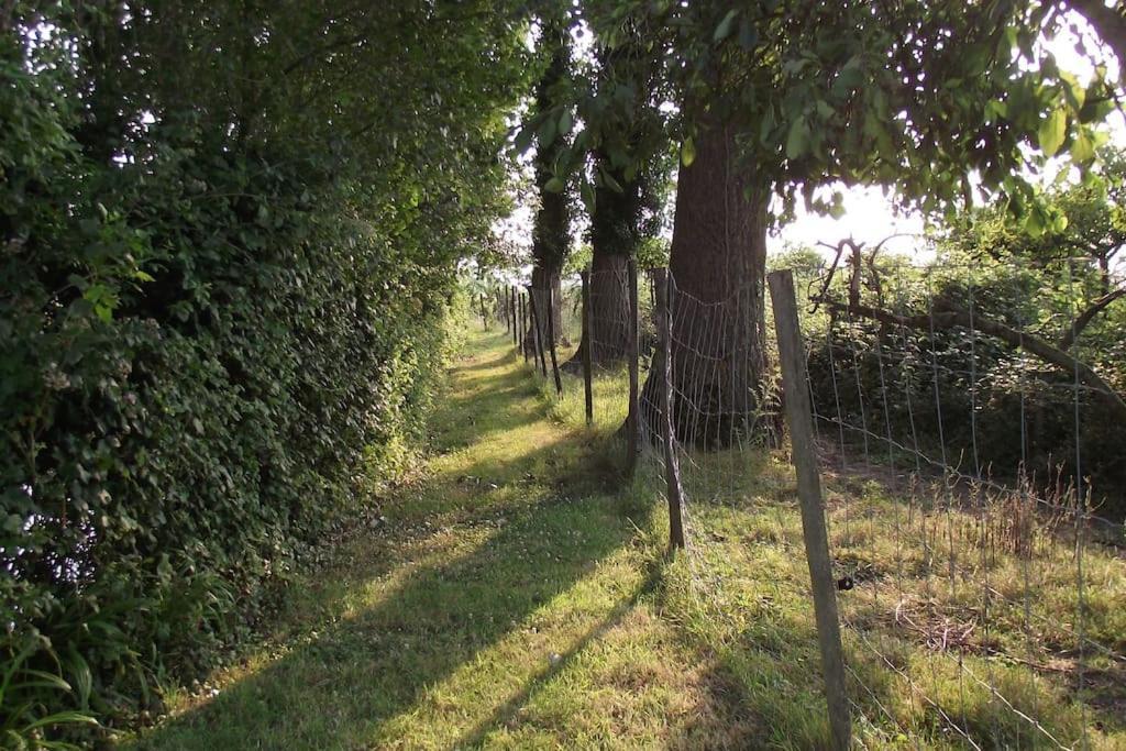 Au Pied Du Frene Villa Herzeele Bagian luar foto