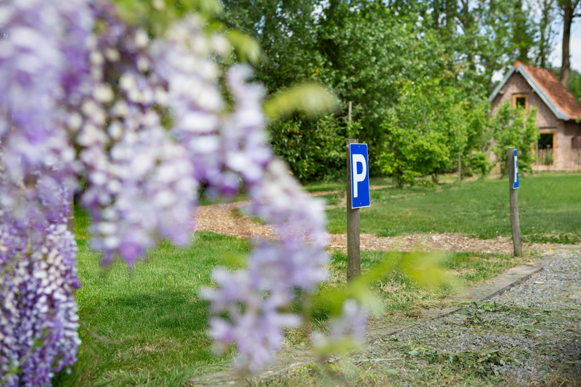 Au Pied Du Frene Villa Herzeele Bagian luar foto